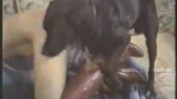 Bare blond woman aggressively screwed by her canine on webcam