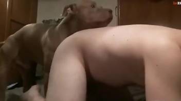 Big booty zoophile dude gets power-fucked by a beast