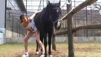Chick swallows horse sperm after a harsh fuck