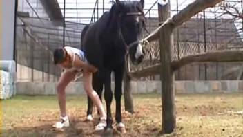 Girl ingests horse semen after intense pounding