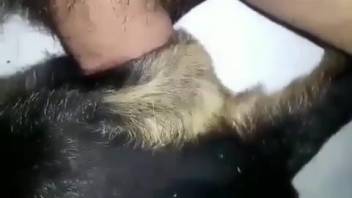 Bitch with a snug orifice getting pounded from the rear