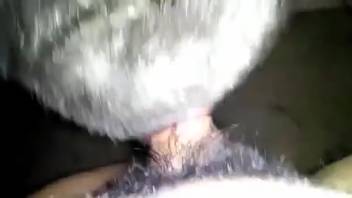 Guy thrusts his erect dick deep into this beast's narrow opening