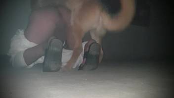 Guy secretly recorded while being anally screwed by a canine