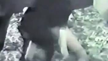 Adult woman recorded in classic bestiality footage performing fellatio on canine penis