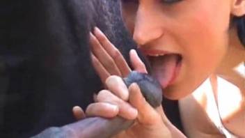 Dark-haired girl 18+ deepthroats massive horse cock outdoors