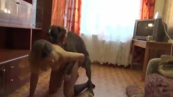 Blond-haired babe getting banged by the family dog