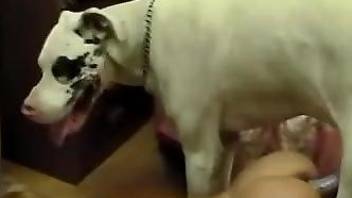 Blond-haired babe rubbing her pussy and fucking a dog