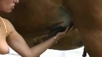 Cowgirl allows a stud horse to bang her dripping wet pussy