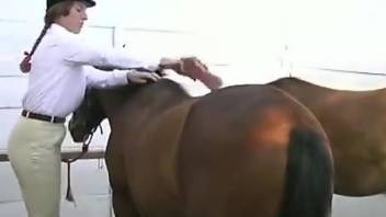 Horsewoman lets a stallion fuck her soaked cunt
