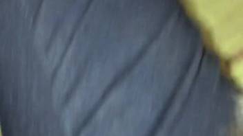 Canine tongues lady's moist pussy in her private webcam session