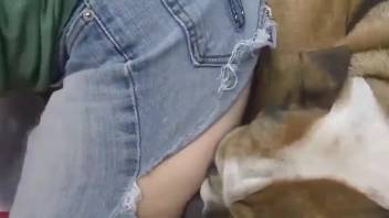 Steamy collection of bestiality clips featuring filthy ladies