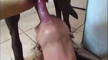 Brunette stunner deepthroated by an ebony pup