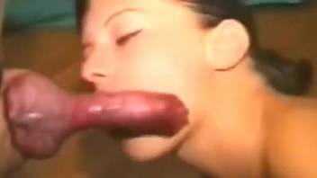 Passionate oral porn with good-looking zoophiles