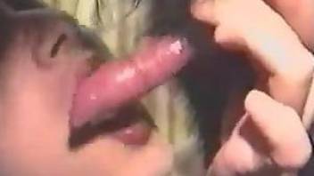Cock sucking woman leads the dog to a certain orgasm