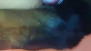 Nude spouse screwed by the canine while husband is away