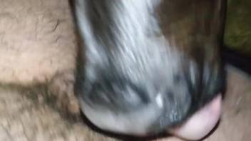 Attractive woman with young calf laps up semen from the guy's shaft in a first-person perspective audition
