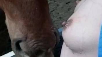 Asian babe holds horse cock and sucks it hard