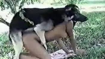 Compilation of doggy style fucking with dogs