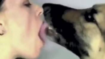 Bestiality compilation focusing on kissing and oral