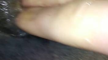 Guy digitating a female horse's steamy butthole in front of the camera