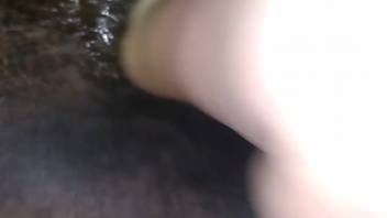 Guy stimulating a female horse's tasty rear hole in first-person view