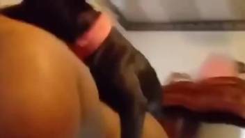 Chunky hottie getting fucked by a horny beast