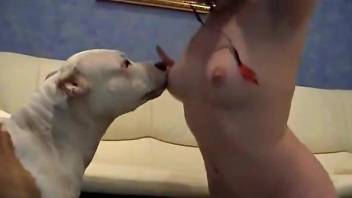 Cutie in a mask gets licked by a sexy doggo