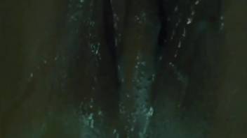 Dripping wet amateur slit being pounded by a perverted pooch
