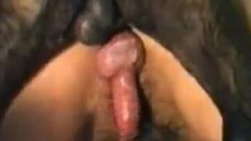 Blond with short hair fucked from behind by a dog