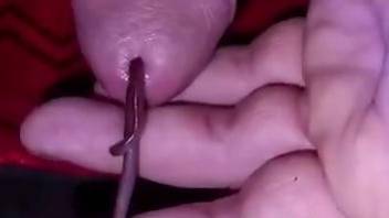 Man inserts crawling worm into his penis
