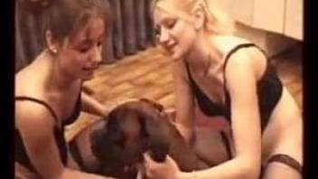 Dirty women enjoying dog porn at home while on cam