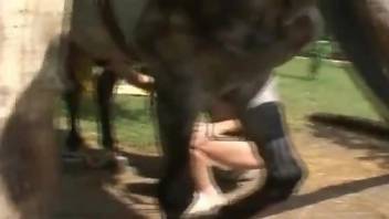 Pregnant zoophile getting fucked by a hung horse