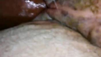 Guy's erect dick pounding a super filthy female horse on video
