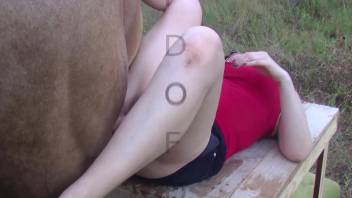 Intense bestiality porn featuring a massive horse cock in homemade footage