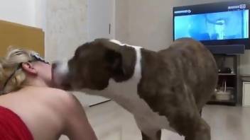 Big ass mature gags with the dog's dick and swallows