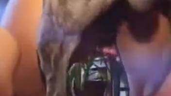 Collection of steamy animal sex scenes in doggy position