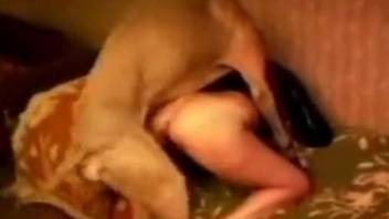 Mature gets whole cock in her pussy during first time dog zoophilia