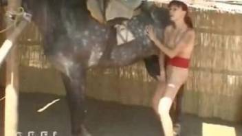 Cutie loves shaking the horse penis on her tits