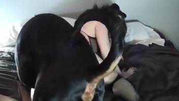 Big booty woman masturbates with the dog's dick in her mouth
