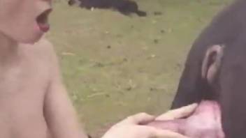 Horny women fucking a big-dicked black dog outdoors