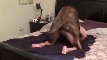 Dog ass fucks nude amateur in live cam show