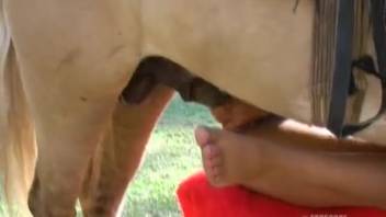 Passionate Latina delights in equine member fills every orifice