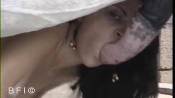 Intense adult video featuring horse cock with newbie chicks