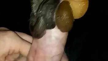 Dude's hard cock getting pleasured by three snails