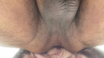 Guy's anus expanded by a wild sausage-shaped cock