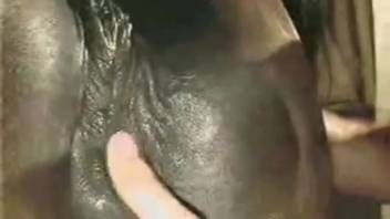 Guy with a curvy ass bangs a stunning female horse