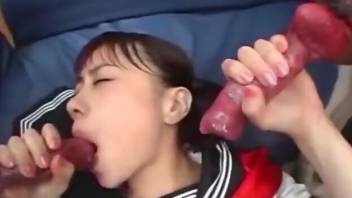 Japanese schoolgirl decides to lick dog dicks big time
