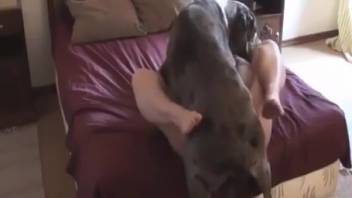 High-quality missionary pounding with a long-legged slut