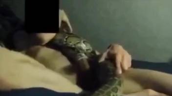 Sexy reptile getting fucked by a really kinky dude