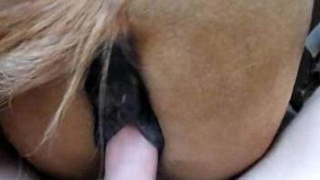 Pale-skinned guy fucking a mare's tight hole in POV